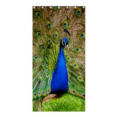 Peacock Animal Photography Beautiful Shower Curtain 36  X 72  (stall)  by Amaryn4rt