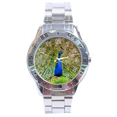 Peacock Animal Photography Beautiful Stainless Steel Analogue Watch by Amaryn4rt