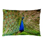 Peacock Animal Photography Beautiful Pillow Case (Two Sides) Front