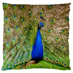 Peacock Animal Photography Beautiful Large Cushion Case (one Side) by Amaryn4rt