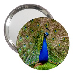 Peacock Animal Photography Beautiful 3  Handbag Mirrors by Amaryn4rt