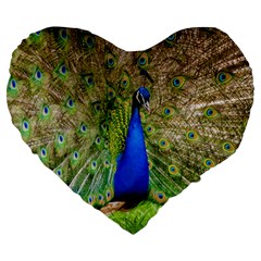 Peacock Animal Photography Beautiful Large 19  Premium Heart Shape Cushions by Amaryn4rt