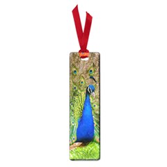 Peacock Animal Photography Beautiful Small Book Marks by Amaryn4rt