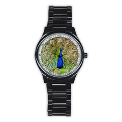 Peacock Animal Photography Beautiful Stainless Steel Round Watch by Amaryn4rt