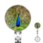 Peacock Animal Photography Beautiful Stainless Steel Nurses Watch Front