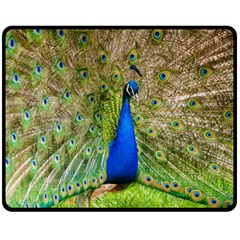 Peacock Animal Photography Beautiful Double Sided Fleece Blanket (medium)  by Amaryn4rt