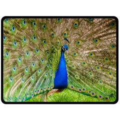 Peacock Animal Photography Beautiful Double Sided Fleece Blanket (large)  by Amaryn4rt