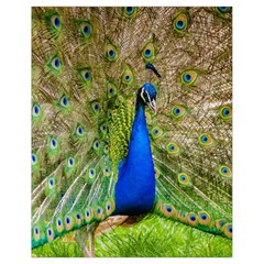 Peacock Animal Photography Beautiful Drawstring Bag (small) by Amaryn4rt