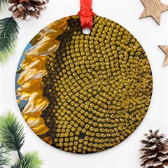 Sunflower Bright Close Up Color Disk Florets Ornament (round)