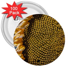 Sunflower Bright Close Up Color Disk Florets 3  Buttons (100 Pack)  by Amaryn4rt