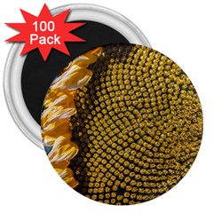 Sunflower Bright Close Up Color Disk Florets 3  Magnets (100 Pack)