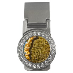 Sunflower Bright Close Up Color Disk Florets Money Clips (cz)  by Amaryn4rt