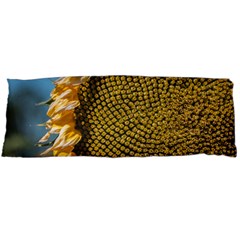 Sunflower Bright Close Up Color Disk Florets Body Pillow Case (dakimakura) by Amaryn4rt