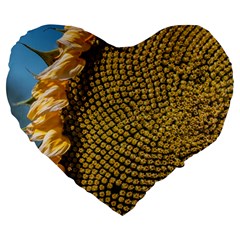 Sunflower Bright Close Up Color Disk Florets Large 19  Premium Heart Shape Cushions by Amaryn4rt