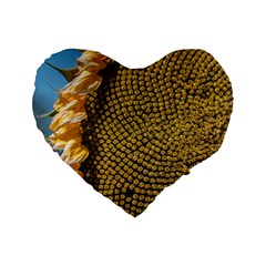 Sunflower Bright Close Up Color Disk Florets Standard 16  Premium Flano Heart Shape Cushions by Amaryn4rt