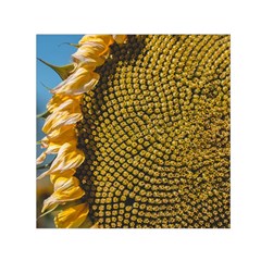 Sunflower Bright Close Up Color Disk Florets Small Satin Scarf (square) by Amaryn4rt