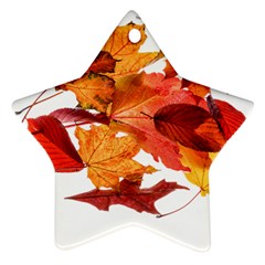 Autumn Leaves Leaf Transparent Ornament (star) by Amaryn4rt