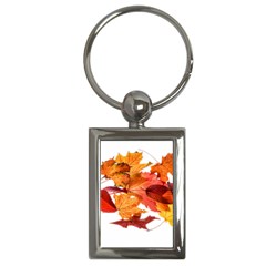 Autumn Leaves Leaf Transparent Key Chains (rectangle)  by Amaryn4rt