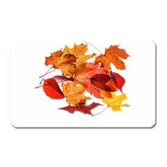 Autumn Leaves Leaf Transparent Magnet (rectangular) by Amaryn4rt