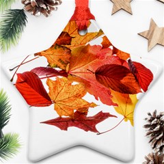 Autumn Leaves Leaf Transparent Star Ornament (two Sides) by Amaryn4rt