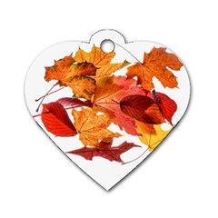 Autumn Leaves Leaf Transparent Dog Tag Heart (one Side) by Amaryn4rt