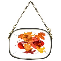 Autumn Leaves Leaf Transparent Chain Purses (two Sides)  by Amaryn4rt