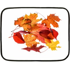 Autumn Leaves Leaf Transparent Double Sided Fleece Blanket (mini)  by Amaryn4rt