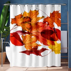 Autumn Leaves Leaf Transparent Shower Curtain 60  X 72  (medium)  by Amaryn4rt