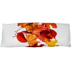 Autumn Leaves Leaf Transparent Body Pillow Case Dakimakura (two Sides) by Amaryn4rt