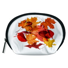 Autumn Leaves Leaf Transparent Accessory Pouches (medium)  by Amaryn4rt