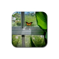 Butterfly #17 Rubber Coaster (square)  by litimages