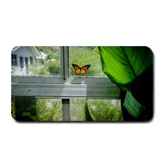 Butterfly #17 Medium Bar Mats by litimages