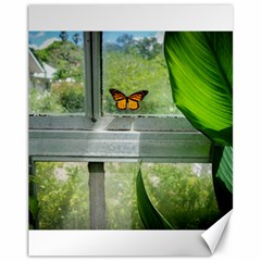 Butterfly #17 Canvas 11  X 14   by litimages