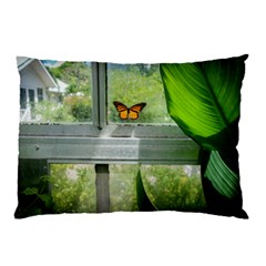 Butterfly #17 Pillow Case