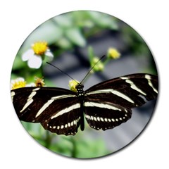 Butterfly #22 Round Mousepads by litimages