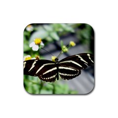 Butterfly #22 Rubber Coaster (square)  by litimages