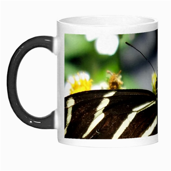 Butterfly #22 Morph Mugs