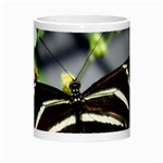 Butterfly #22 Morph Mugs Center