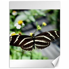 Butterfly #22 Canvas 36  X 48   by litimages