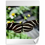 Butterfly #22 Canvas 36  x 48   35.26 x46.15  Canvas - 1