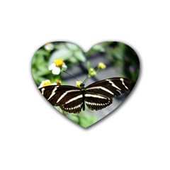 Butterfly #22 Heart Coaster (4 Pack)  by litimages