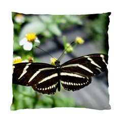 Butterfly #22 Standard Cushion Case (one Side) by litimages