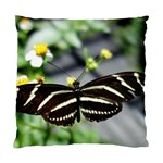 Butterfly #22 Standard Cushion Case (One Side) Front