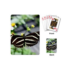 Butterfly #22 Playing Cards (mini)  by litimages