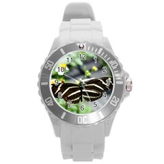 Butterfly #22 Round Plastic Sport Watch (l) by litimages