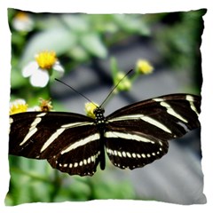 Butterfly #22 Large Flano Cushion Case (one Side) by litimages