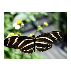 Butterfly #22 Double Sided Flano Blanket (mini)  by litimages