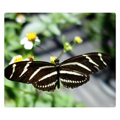 Butterfly #22 Double Sided Flano Blanket (small)  by litimages