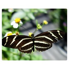 Butterfly #22 Double Sided Flano Blanket (medium)  by litimages