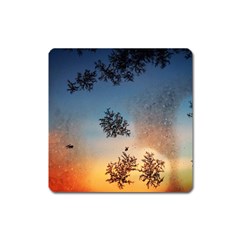 Hardest Frost Winter Cold Frozen Square Magnet by Amaryn4rt